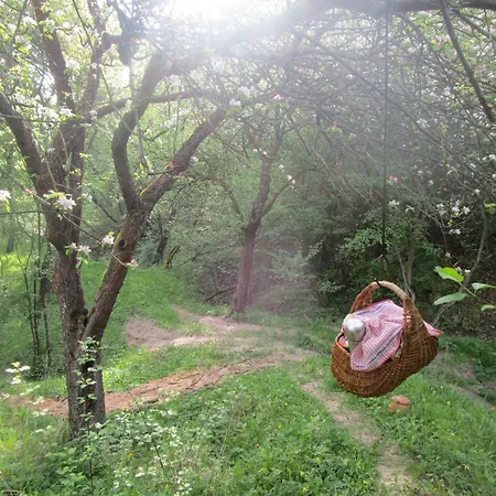 Dolina بيت ضيافة